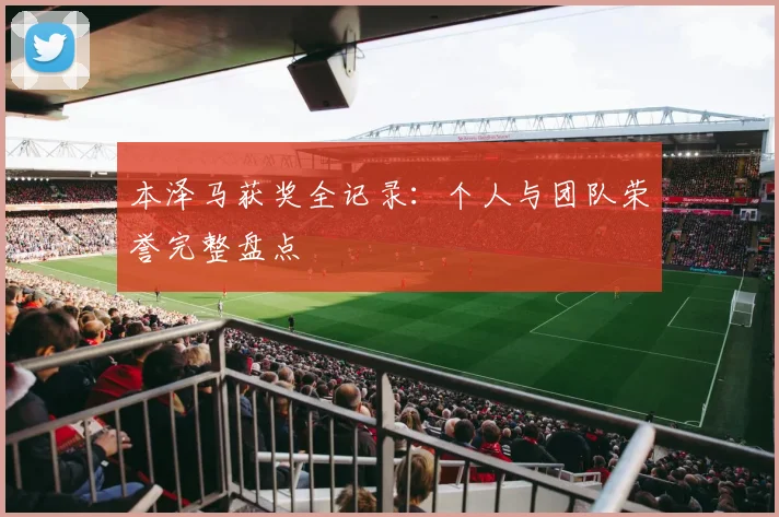 本泽马获奖全记录:个人与团队荣誉完整盘点