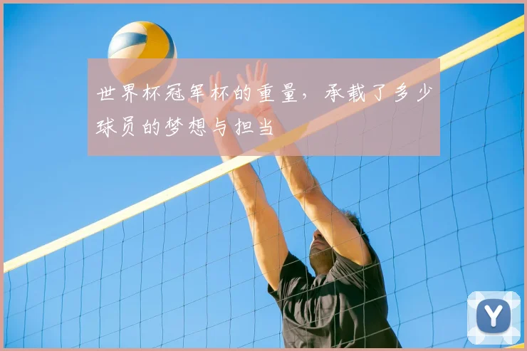 世界杯冠军杯的重量,承载了多少球员的梦想与担当