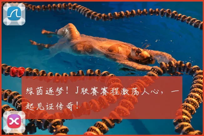 绿茵逐梦！J联赛赛程激荡人心，一起见证传奇！